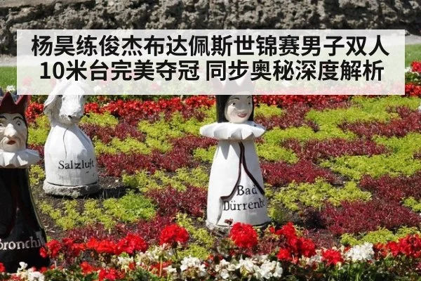 杨昊练俊杰布达佩斯世锦赛男子双人10米台完美夺冠 同步奥秘深度解析