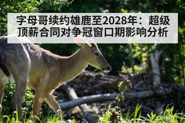 字母哥续约雄鹿至2028年：超级顶薪合同对争冠窗口期影响分析