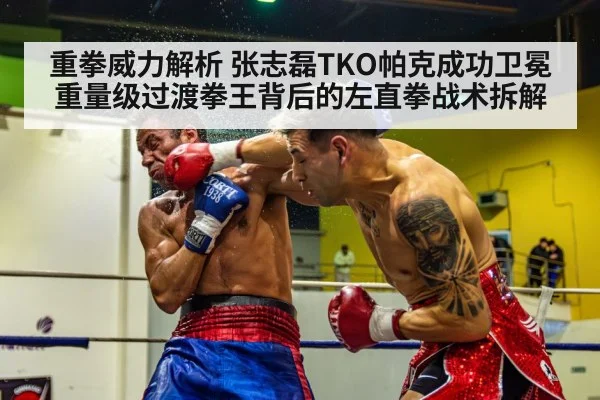 重拳威力解析 张志磊TKO帕克成功卫冕重量级过渡拳王背后的左直拳战术拆解